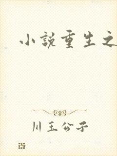 小说重生之官道