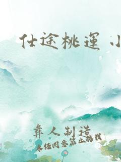 仕途桃运 小说