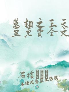 万相之王天蚕土豆免费全文阅读