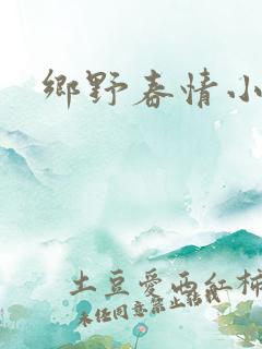 乡野春情小说