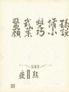 医武双修孙哲朱颜叶巧小说