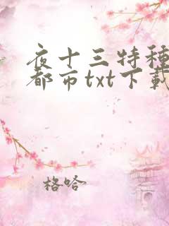 夜十三特种兵在都市txt下载