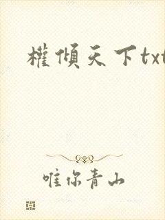 权倾天下txt