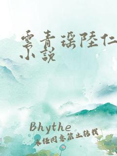云青瑶陆仁全文小说