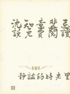 沈知意裴忌的小说免费阅读无弹窗