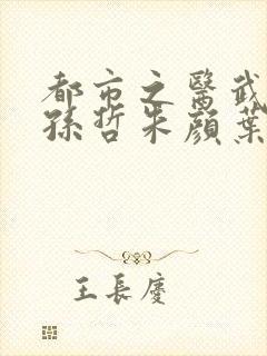 都市之医武风流孙哲朱颜叶巧