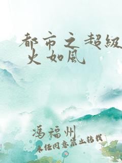 都市之超级医仙 火如风