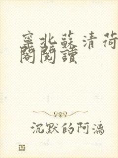 宁北苏清荷笔趣阁阅读
