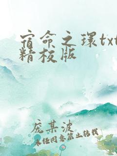 宿命之环txt精校版