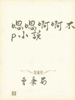 嗯嗯啊啊不要np小说