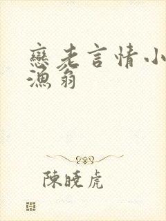 恋老言情小说老渔翁