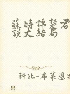 苏时锦楚君彻小说大结局