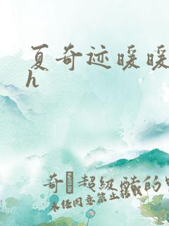 夏奇迹暖暖快穿h