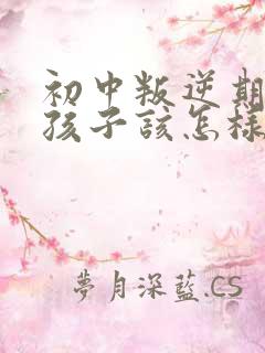 初中叛逆期的男孩子该怎样去沟通教育