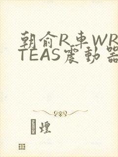 朝俞R车WRITEAS震动器