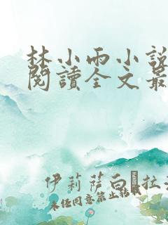林小雨小说免费阅读全文最新章节