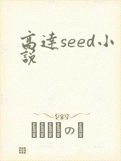 高达seed小说