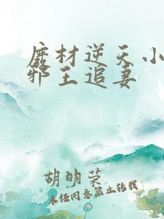 废材逆天小姐之邪王追妻