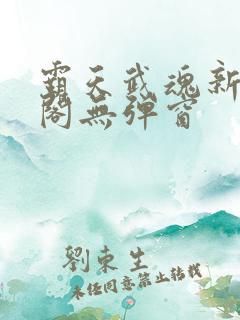 霸天武魂新笔趣阁无弹窗