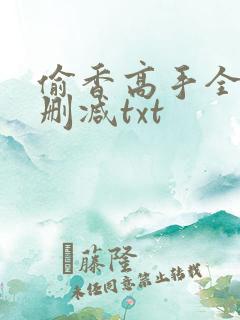 偷香高手全文无删减txt