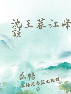 沈玉蓉江峰的小说