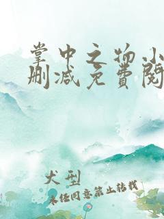 掌中之物小说无删减免费阅读