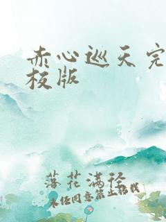 赤心巡天完整精校版