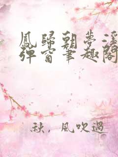 凤归朝梦溪石无弹窗笔趣阁