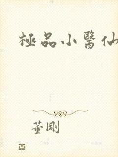 极品小医仙小说