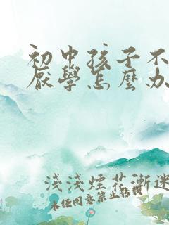 初中孩子不上学厌学怎么办