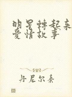 明星转起来乡村爱情故事