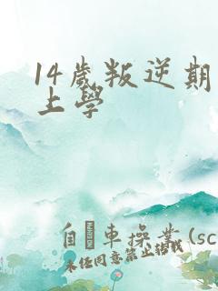 14岁叛逆期不上学
