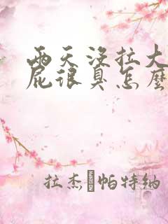 两天没拉大便放屁很臭怎么办