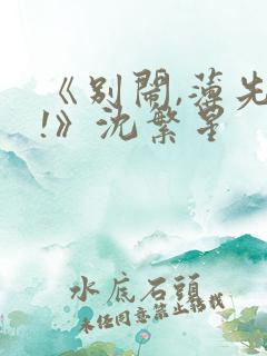 《别闹,薄先生!》沈繁星