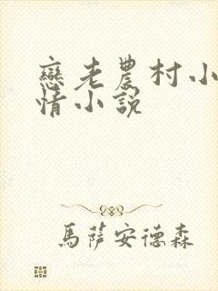 恋老农村小说言情小说