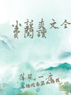 小说爽文全文免费阅读