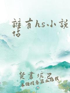 谁有hs小说网站