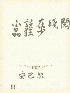 小说在线阅读极品狂少
