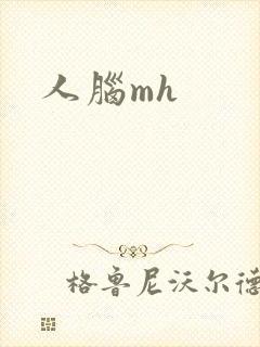 人脑mh
