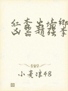 红杏出墙乡村大凶器赵强李淑芬小说免费阅读