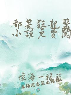 都是狂龙医仙的小说免费阅读