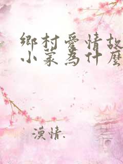 乡村爱情故事王小蒙为什么换人
