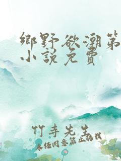 乡野欲潮第4部小说免费