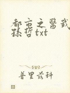都市之医武凡流孙哲txt