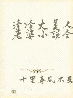 清冷大美人是我老婆小说全文阅读