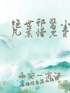 绝世邪医小说林凡叶惜免费阅读全文