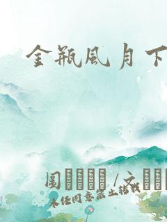 金瓶风月下载