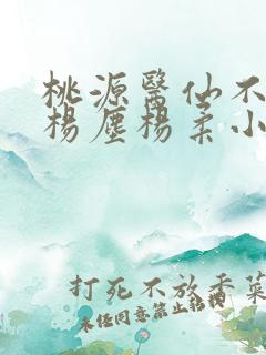 桃源医仙不风流杨尘杨柔小说