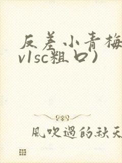 反差小青梅(1v1sc粗口)