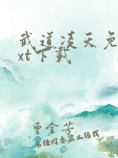武道凌天免费txt下载